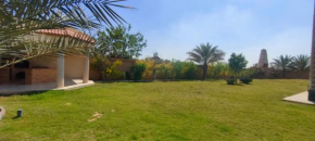 ٦اكتوبر